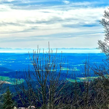 Vakantiehuis Gemuetliches Alpenblick Berg-bungalow + Grosser Garten + Netflix!