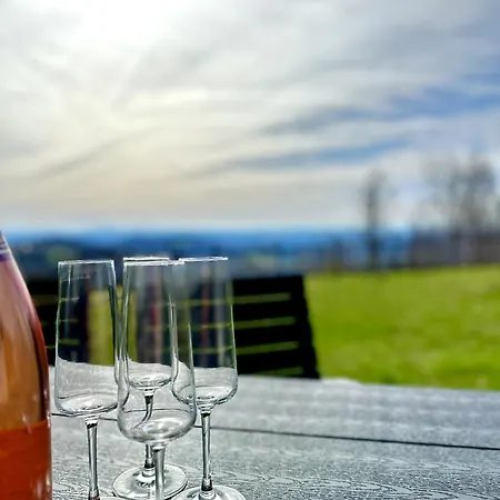 Vakantiehuis Gemuetliches Alpenblick Berg-bungalow + Grosser Garten + Netflix!