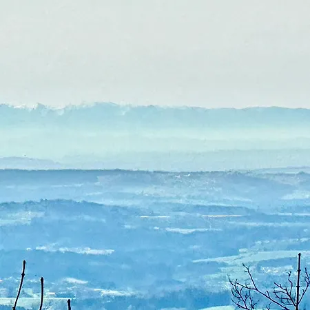 Gemuetliches Alpenblick Berg-bungalow + Grosser Garten + Netflix! * Schöfweg