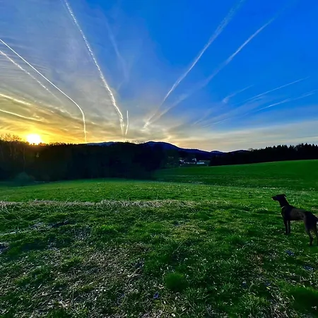 Gemuetliches Alpenblick Berg-bungalow + Grosser Garten + Netflix! * Schöfweg