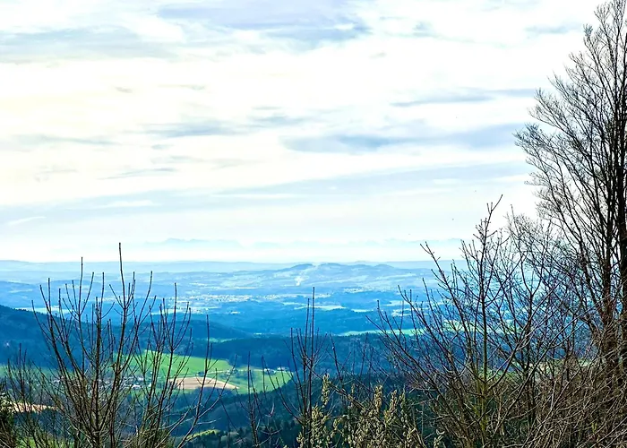 بيت للعطل Gemuetliches Alpenblick Berg-bungalow + Grosser Garten + Netflix! *