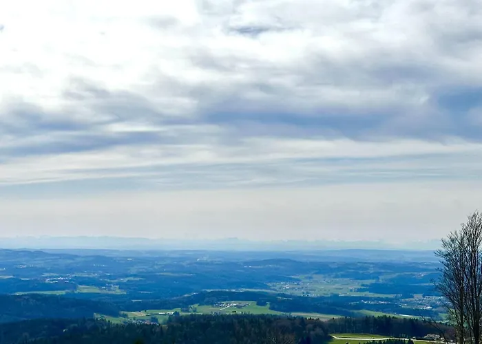 Gemuetliches Alpenblick Berg-bungalow + Grosser Garten + Netflix! Schöfweg