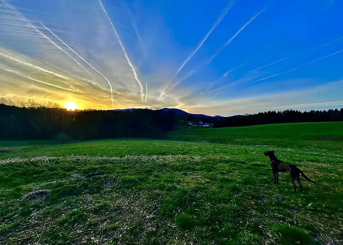 Gemuetliches Alpenblick Berg-bungalow + Grosser Garten + Netflix! * Schöfweg